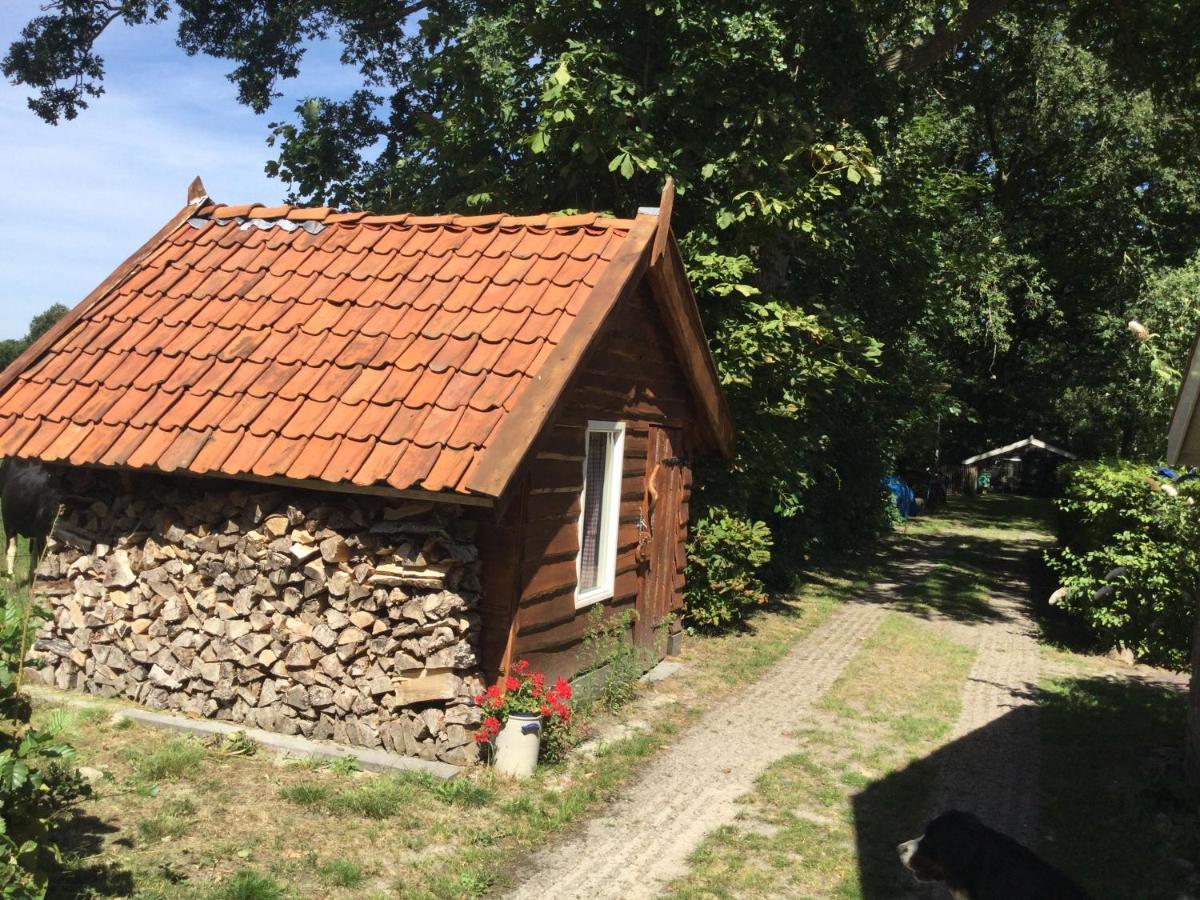 Landelijk Gelegen Huisje Op Erf Veeningen المظهر الخارجي الصورة