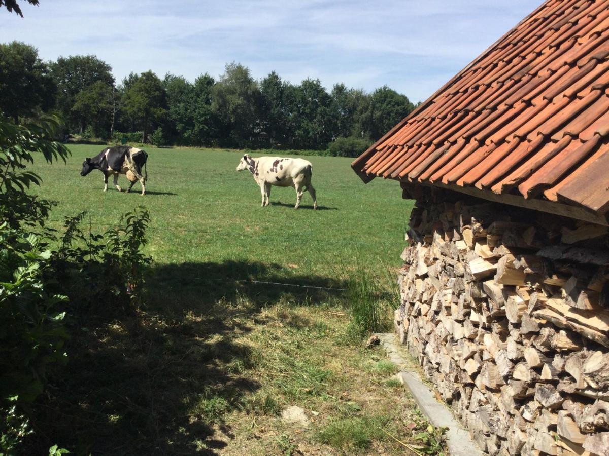 Landelijk Gelegen Huisje Op Erf Veeningen المظهر الخارجي الصورة