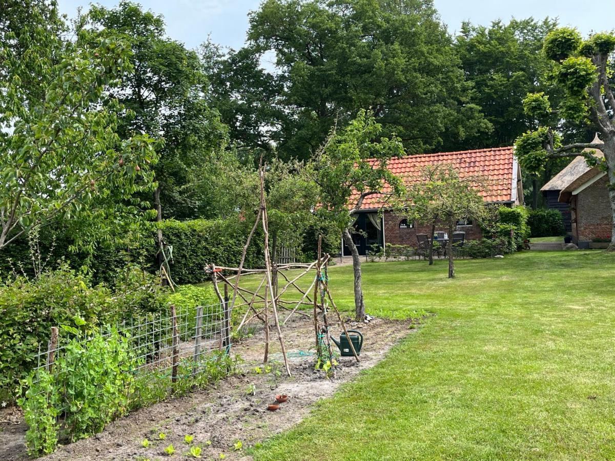 Landelijk Gelegen Huisje Op Erf Veeningen المظهر الخارجي الصورة