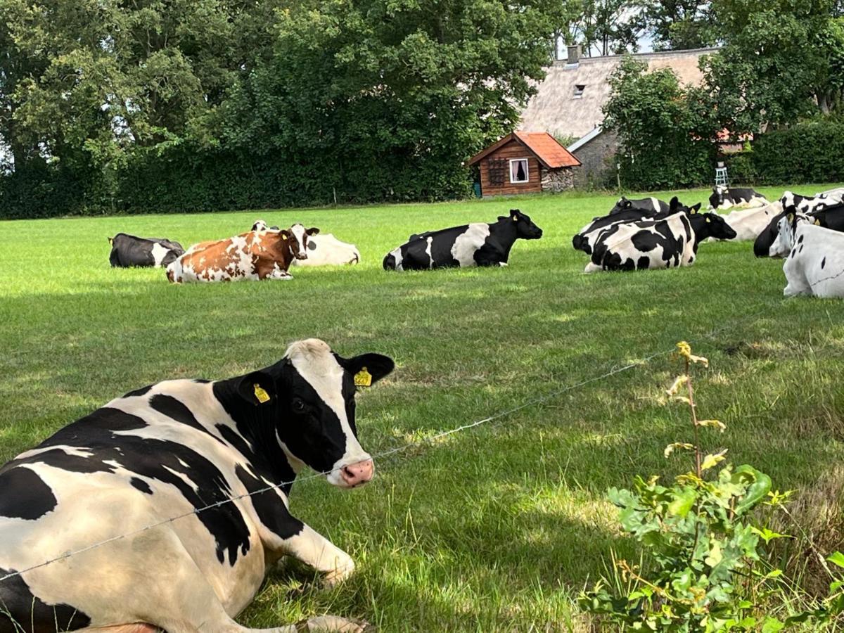 Landelijk Gelegen Huisje Op Erf Veeningen المظهر الخارجي الصورة